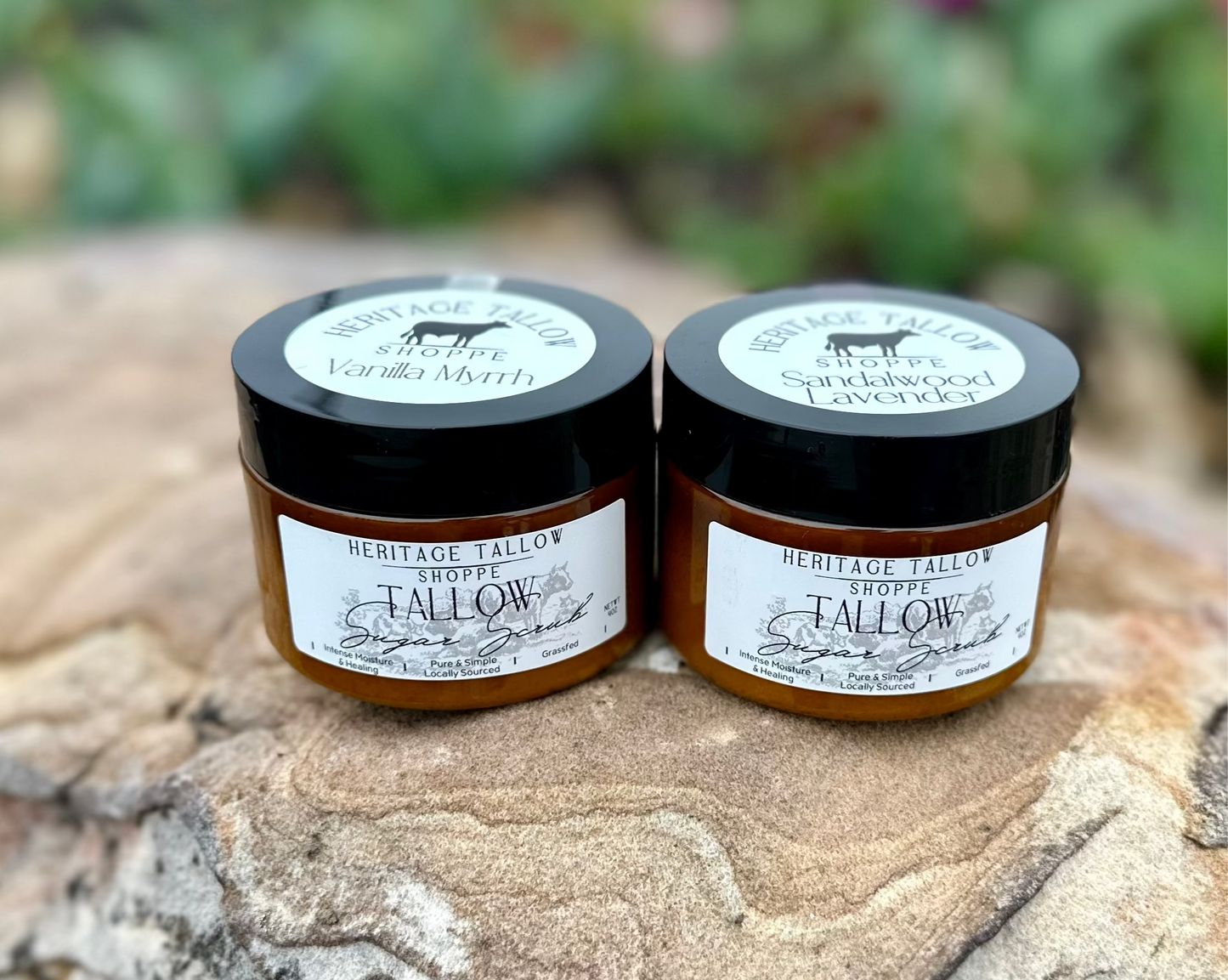 Tallow Sugar Scrub