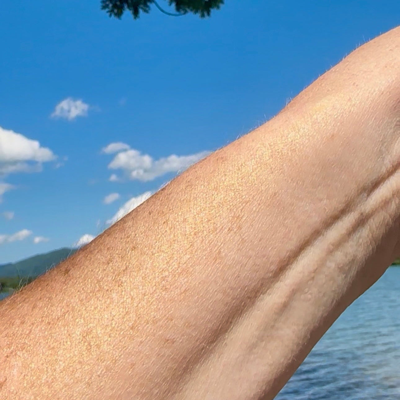 Tallow & Beeswax ~ Bronzer ~ Rouge ~ Highlighter ~